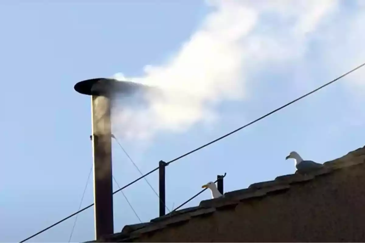 Una chimenea emitiendo humo blanco con dos gaviotas posadas en el techo bajo un cielo despejado.