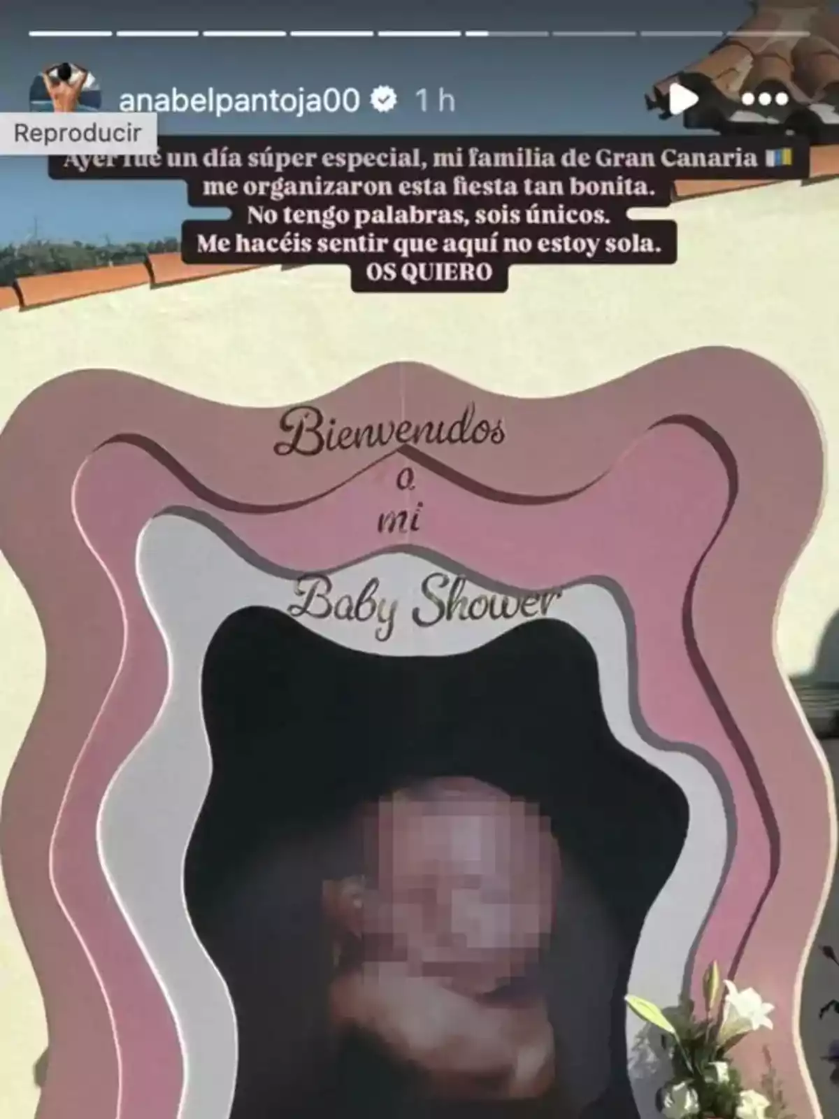 Una imagen de una publicación de Instagram que muestra un cartel decorativo de un baby shower con un mensaje de agradecimiento en la parte superior.