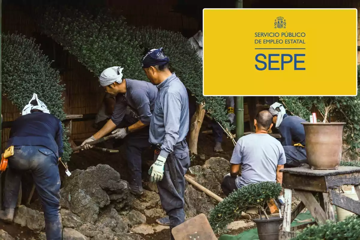 Trabajadores realizando labores de jardinería con el logo del Servicio Público de Empleo Estatal (SEPE) en la esquina superior derecha.