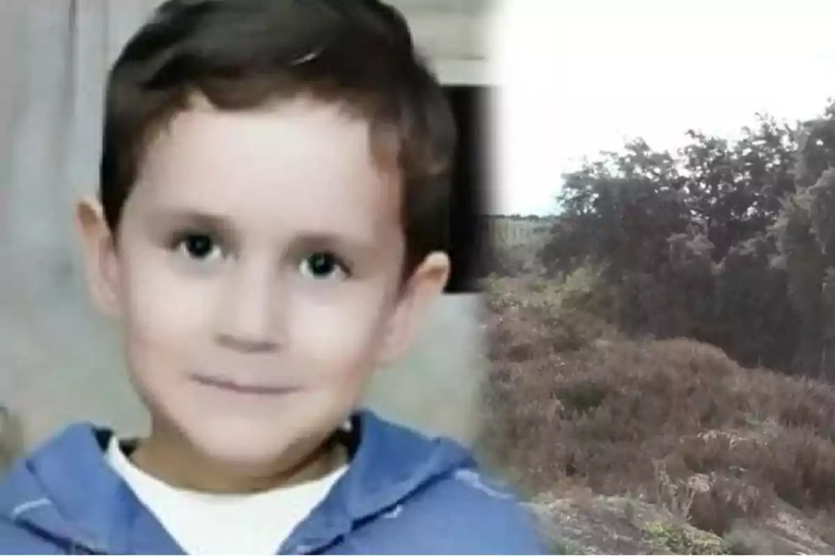 Un niño con cabello corto y una sudadera azul aparece junto a una imagen de un paisaje con vegetación y árboles.