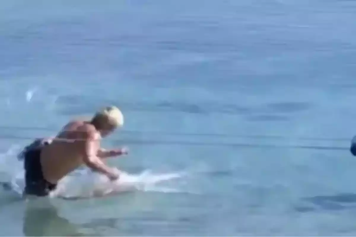 Un hombre en la orilla del mar interactuando con un tiburón en aguas poco profundas. Un hombre en la orilla del mar interactuando con un tiburón en aguas poco profundas.