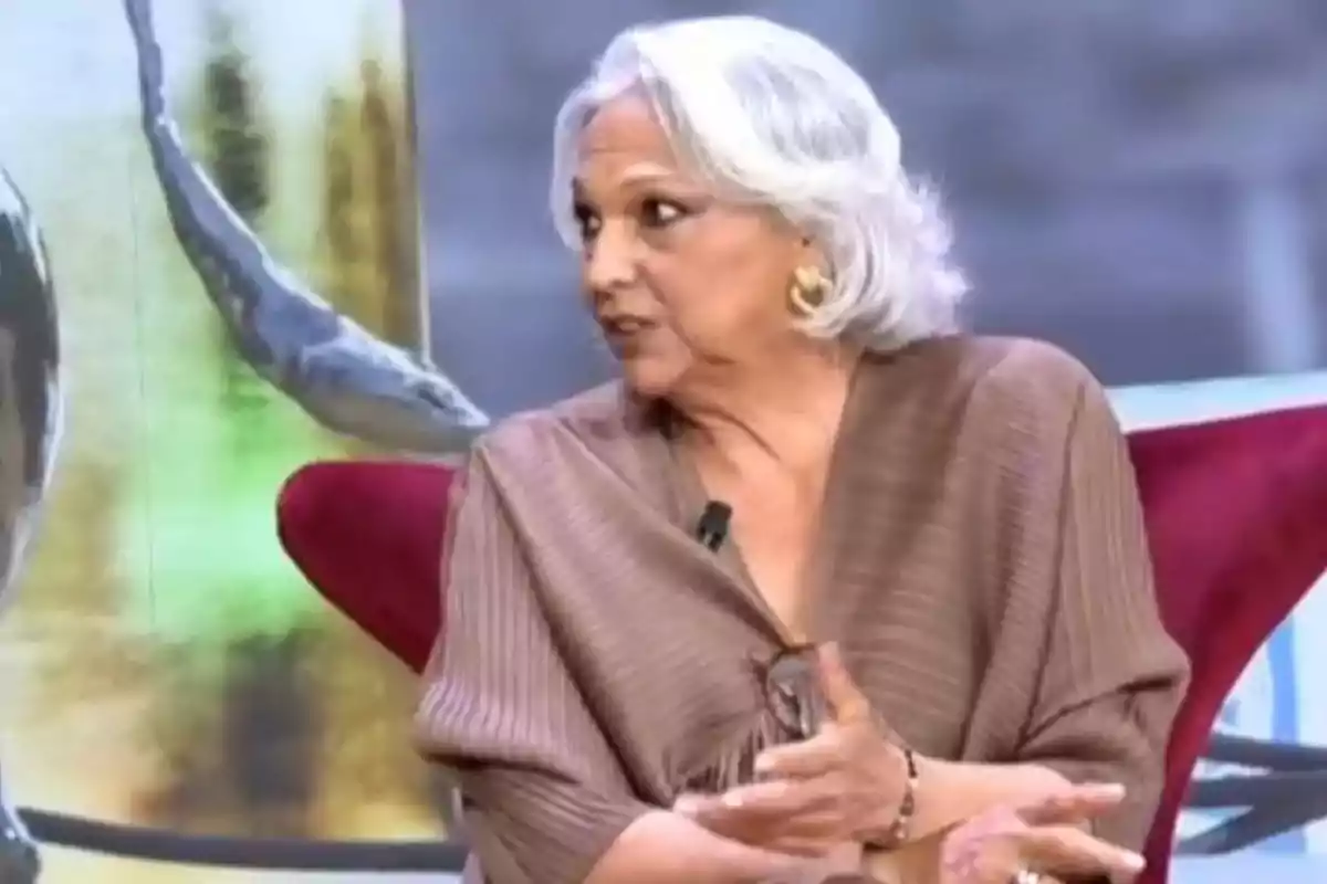 Una persona mayor con cabello canoso y corto está sentada en un sillón rojo, gesticulando mientras habla en un entorno que parece ser un estudio de televisión. Una persona mayor con cabello canoso y corto está sentada en un sillón rojo, gesticulando mientras habla en un entorno que parece ser un estudio de televisión.