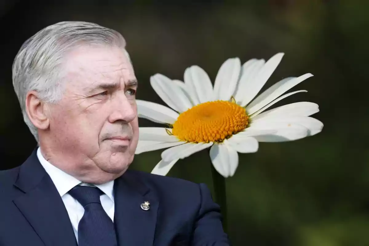 Un hombre de traje oscuro con una flor blanca y amarilla al fondo.