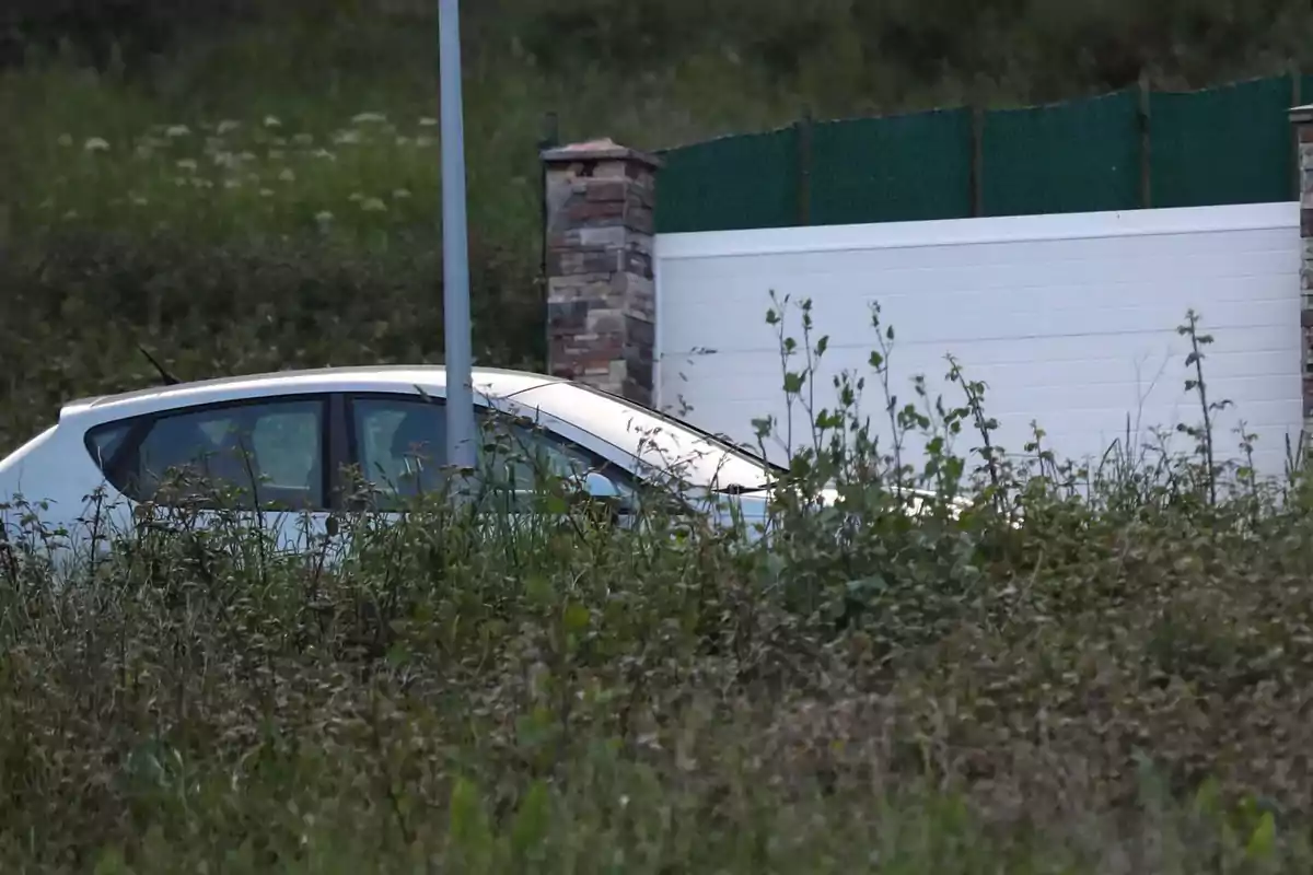 Un coche blanco parcialmente oculto por vegetación alta frente a una cerca blanca y un poste de luz. Un coche blanco parcialmente oculto por vegetación alta frente a una cerca blanca y un poste de luz.