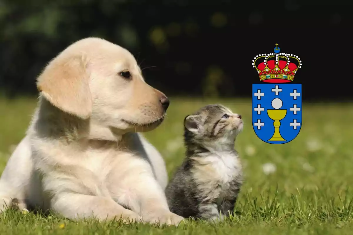 Un cachorro de perro y un gatito sentados en el césped con un escudo de armas en la esquina superior derecha.