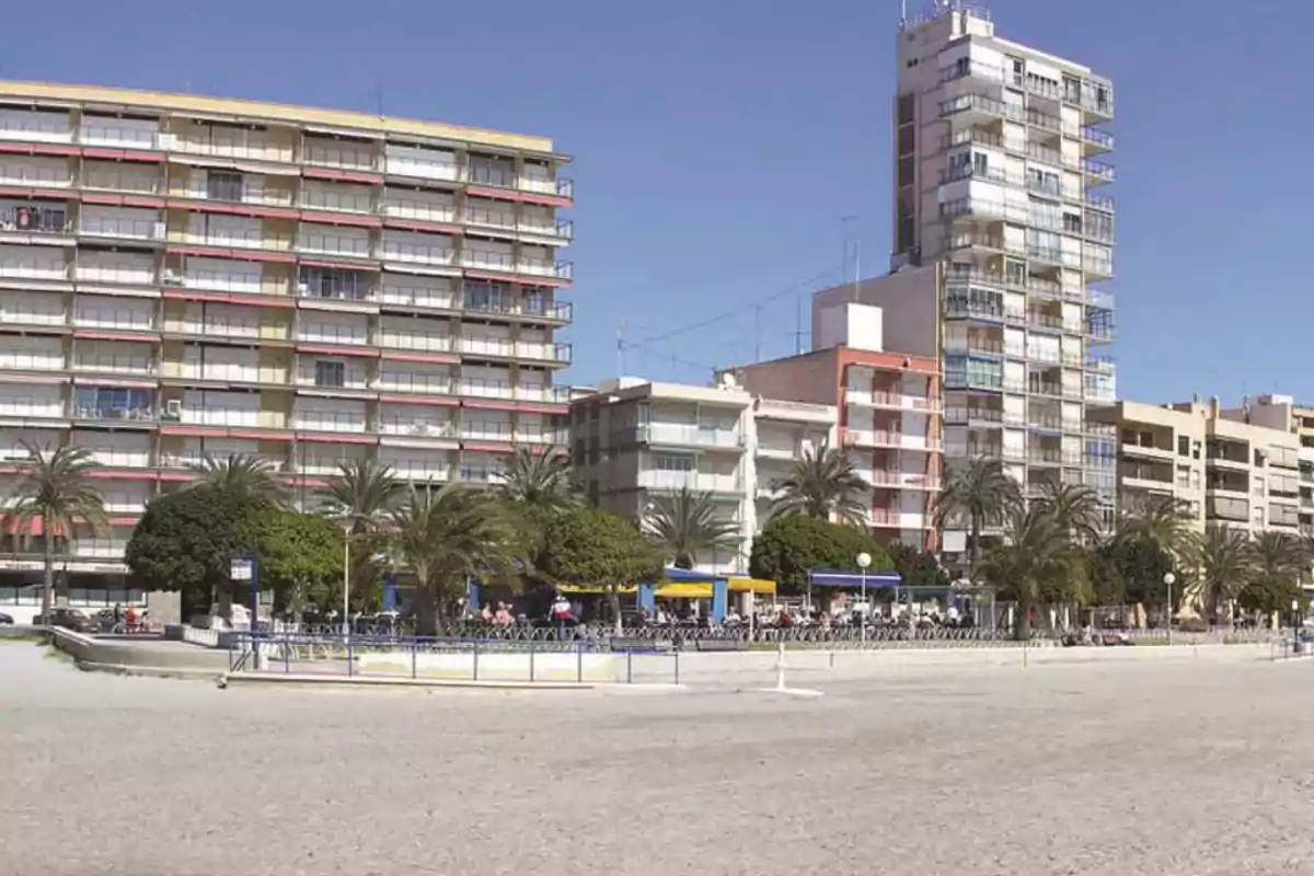 Edificios altos frente a una playa con palmeras y un paseo marítimo