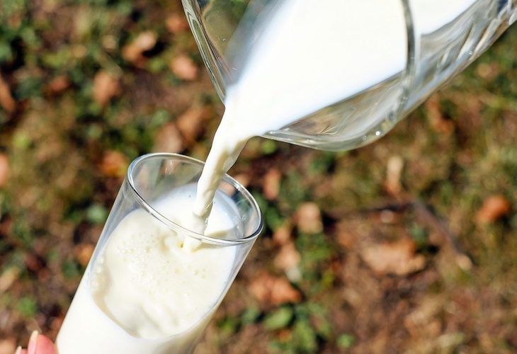Beber leche entera puede salvarte la vida