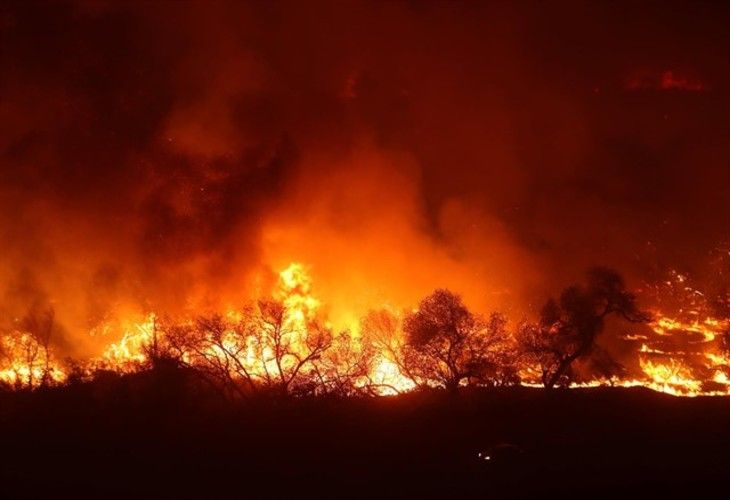 Ya son 31 los muertos que han dejado los incendios en California