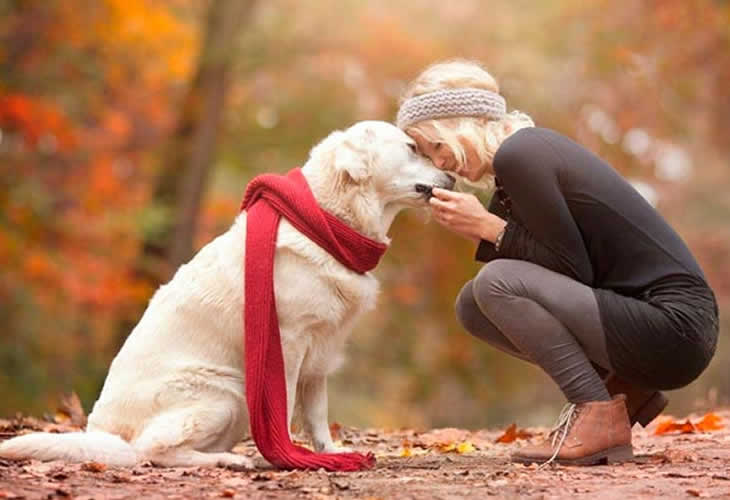 11 maneras en que tu perro dice “¡Te amo!”