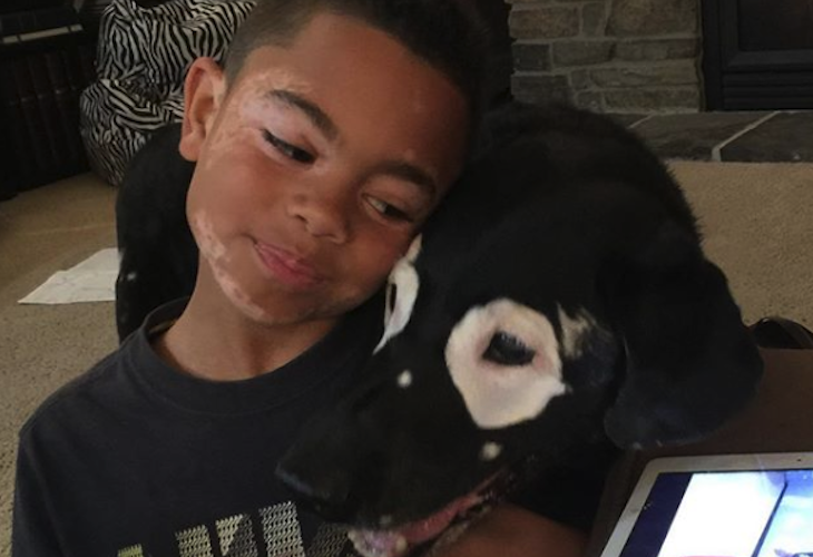Rowdy, el perro con vitiligo que sacó a un niño de 8 años de su depresión
