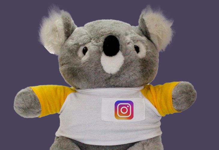 El Koala Challenge, el nuevo reto viral que está arrasando en Instagram