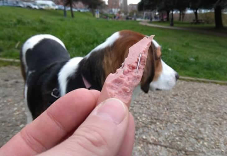 ¡Más malnacido y no nace! Identifican al enfermo que dejó salchichas con alfileres y cristales para perros en un parque de Barajas