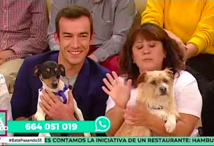 'Está pasando' le busca familia a Lucas y Gus, dos perritos de 'Animal Rescue España'