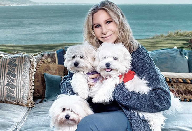 El dineral que se gastó Barbra Streisand en clonar dos veces a su perrita muerta