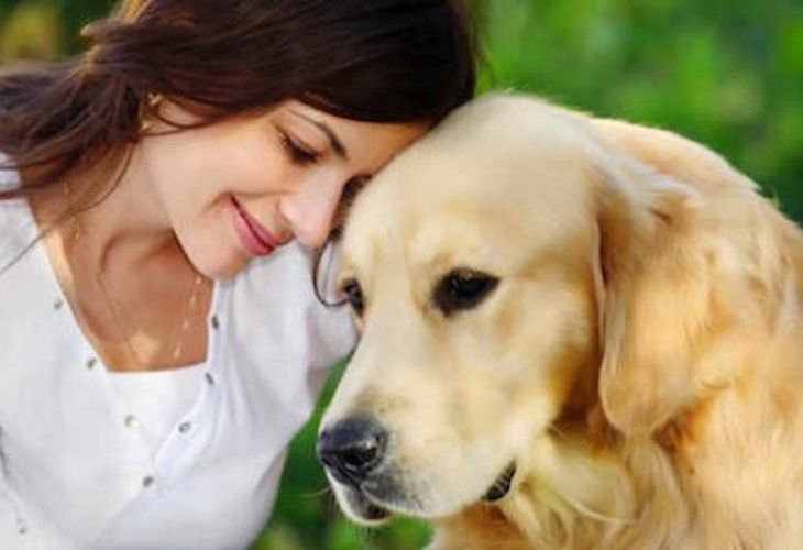 Una personalidad, un perro… ¿Qué razas son las más cariñosas?