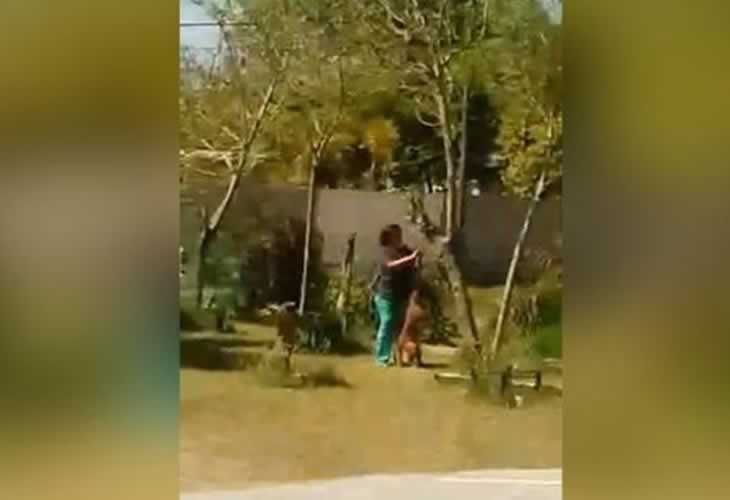¡¡Bochornoso!! El vídeo de una mujer ahorcando al perro de su vecino