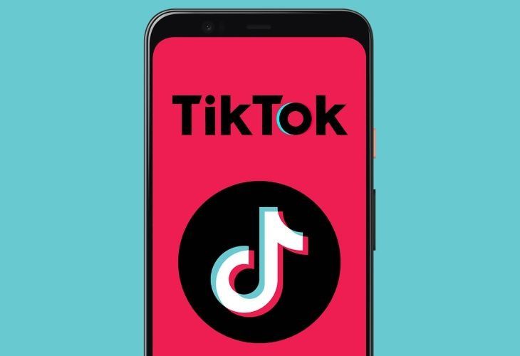 Tik Tok, la red social que apunta a éxito rotundo en el año 2020