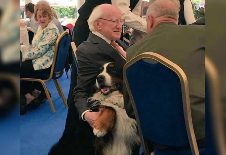 ¡¡Genial!! El perro del presidente de Irlanda se cuela en un acto oficial para que le rasquen la barriga