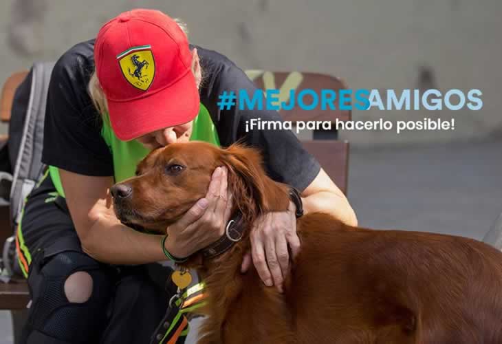 FAADA lanza una campaña para ayudar a las personas vulnerables que conviven con sus mascotas