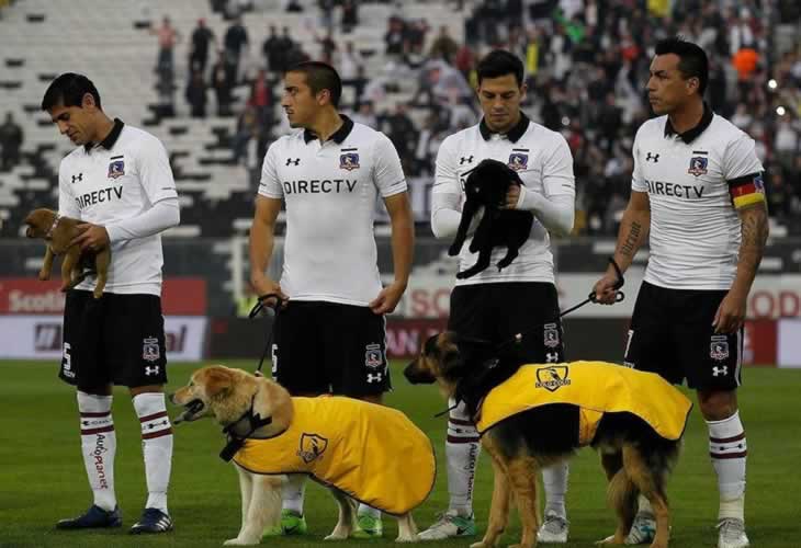 Una megaestrella del fútbol celebra la iniciativa de Colo Colo para fomentar la adopción de perretes