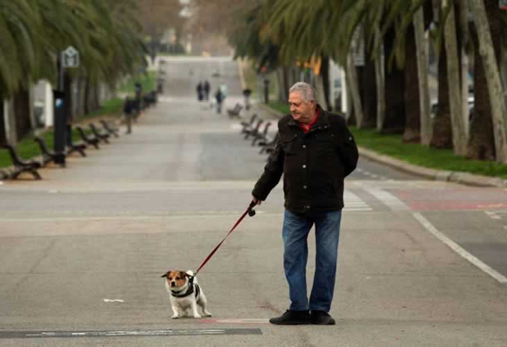 Las normas del Ministerio de Sanidad para el paseo de perros durante el Estado de Alarma