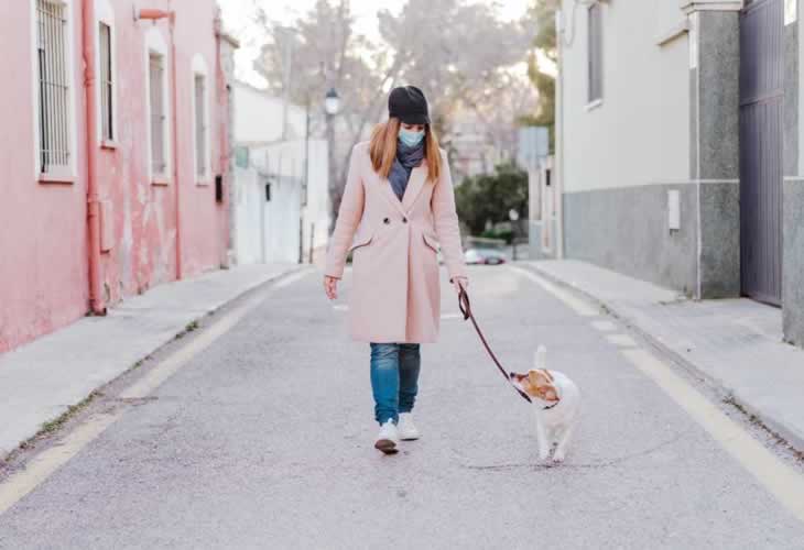 ¡¡Se están produciendo "denuncias abusivas" por pasear a perros en España!! Esto es lo que debes hacer si te pasa