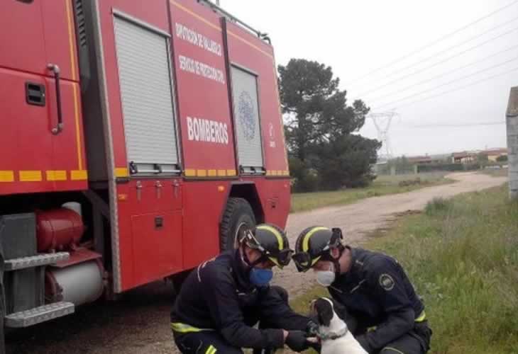¡¡Suerte de ellos!! Los bomberos rescatan a un perro que se había caído en un pozo el día antes