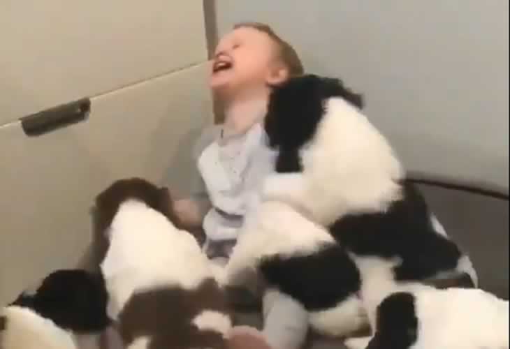 Vídeo viral: ¡¡Así se lo pasa este bebé jugando con cinco cachorritos!!