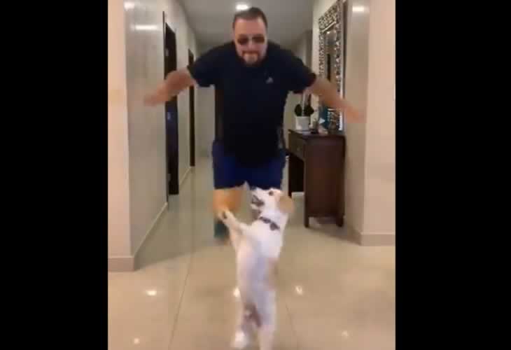 El perro bailarín: ¡¡Así anima este peludo la cuarentena a sus amigos humanos!!