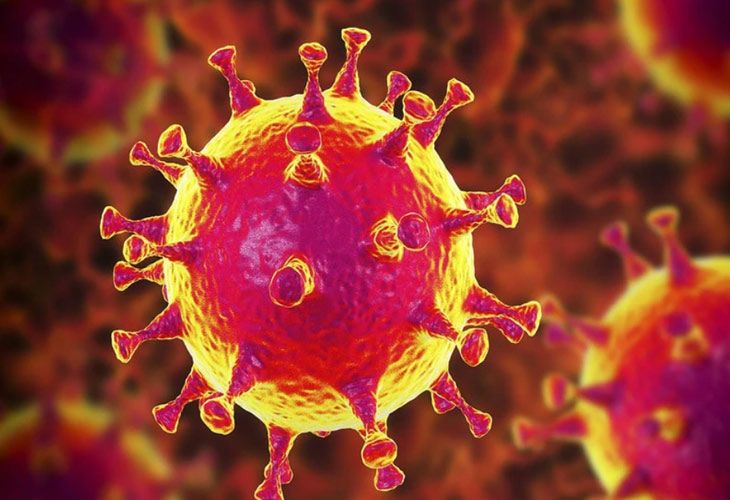 ¿Han encontrado por fin el anticuerpo decisivo para bloquear el coronavirus?