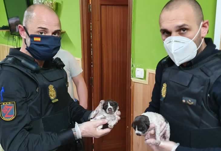 ¡¡Menos mal!! La Policía rescata a dos cachorros moribundos del fondo de un contenedor 