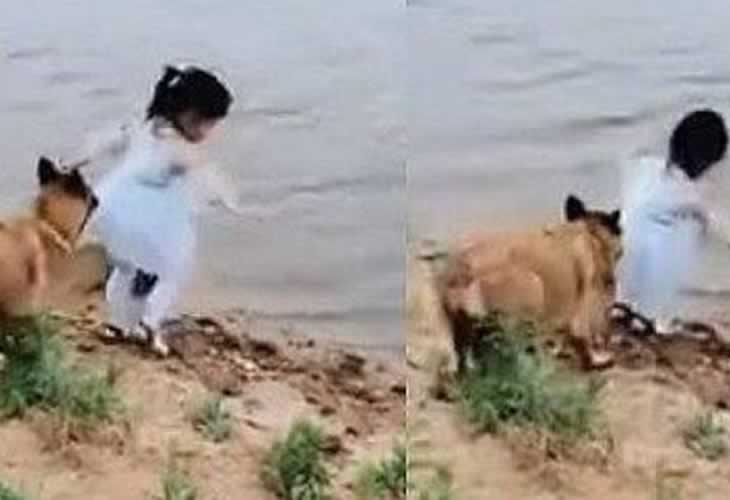 Vídeo viral: ¡¡Un perro salva a una niña de caer al río!!