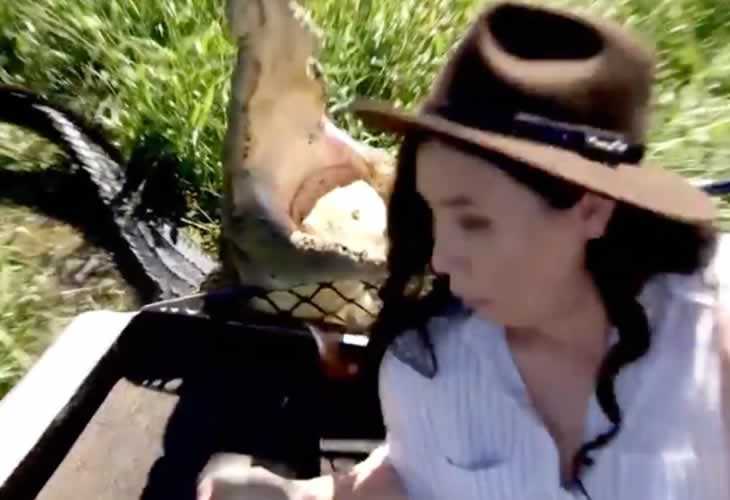 Vídeo: Se hace una foto con un cocodrilo ¡¡y pasa esto!!