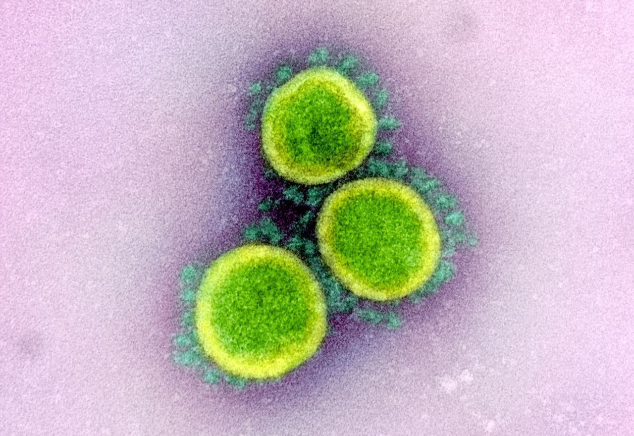 Un grupo de científicos advierte de las pandemias que se avecinan tras la crisis del coronavirus
