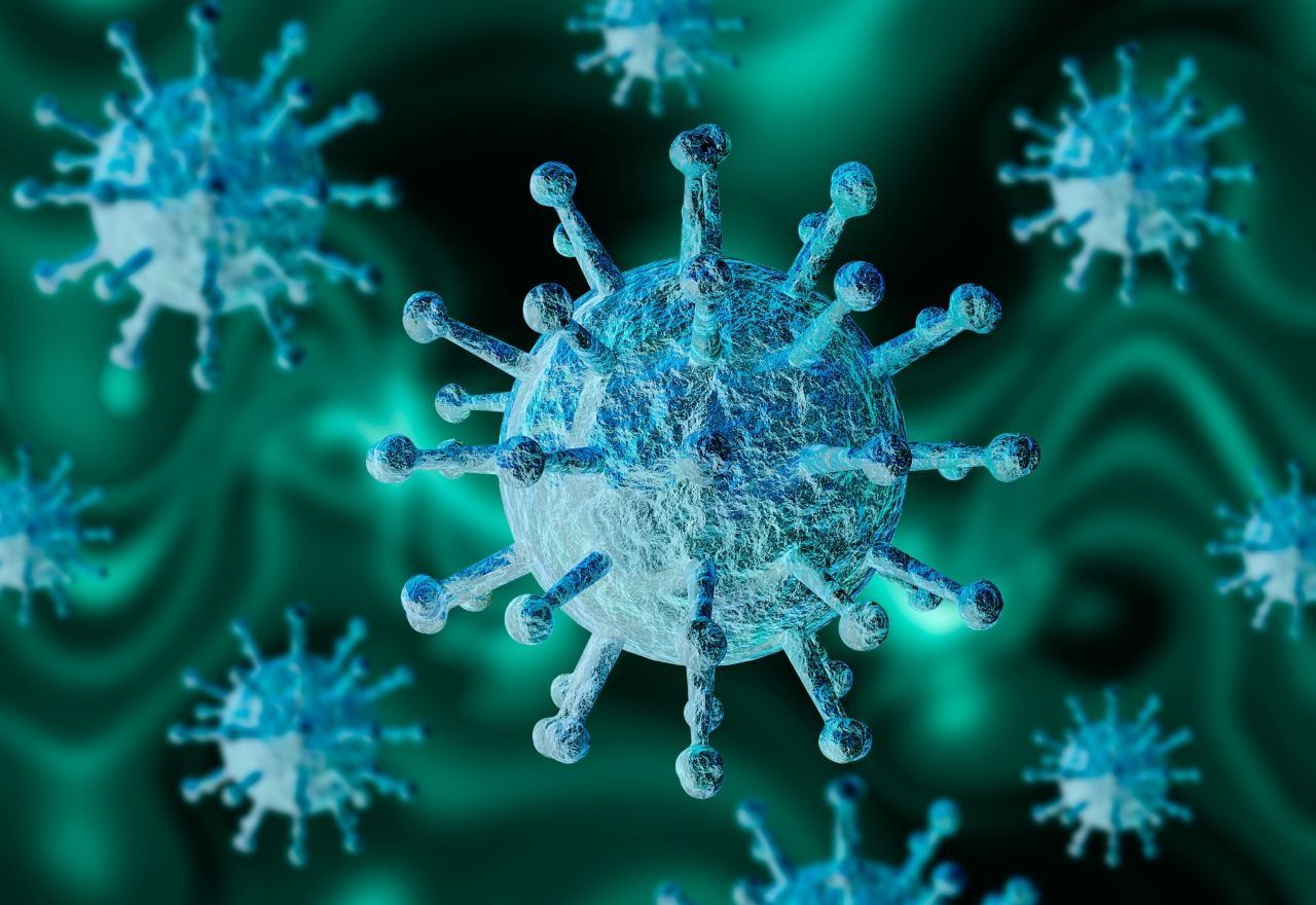 La OMS advierte de un brote terrorífico del virus Nipah, mucho más mortal que el coronavirus