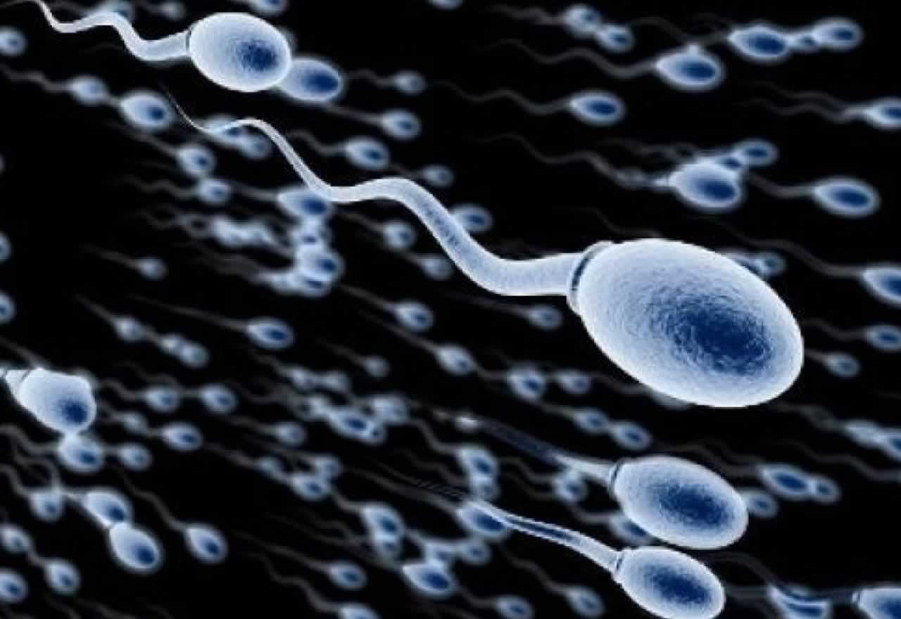 ¿Cuántos espermatozoides hay en una eyaculación?