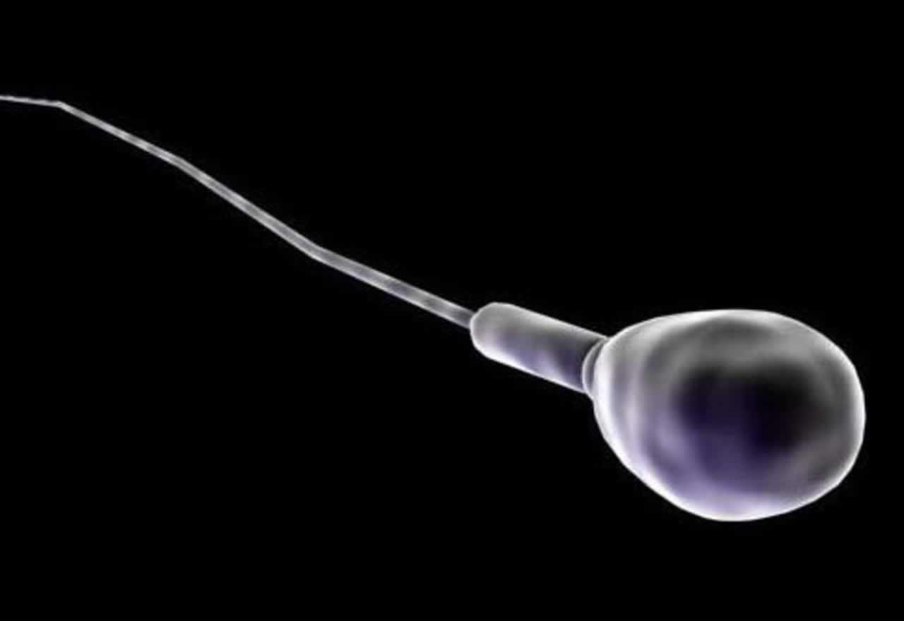 ¿Cuánto tiempo vive un espermatozoide?