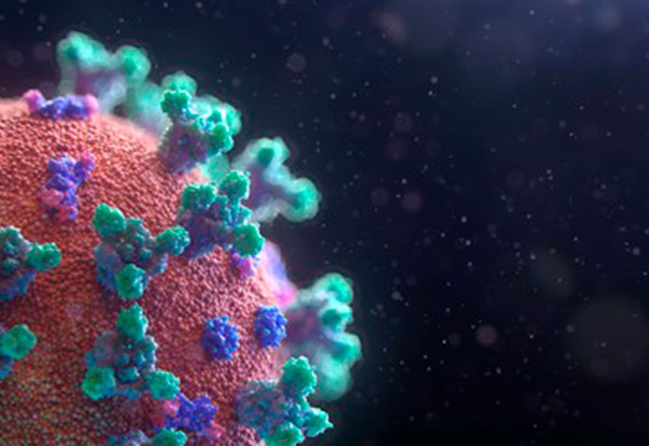 Todos los detalles sobre la nueva variante del coronavirus que se ha hallado en Reino Unido