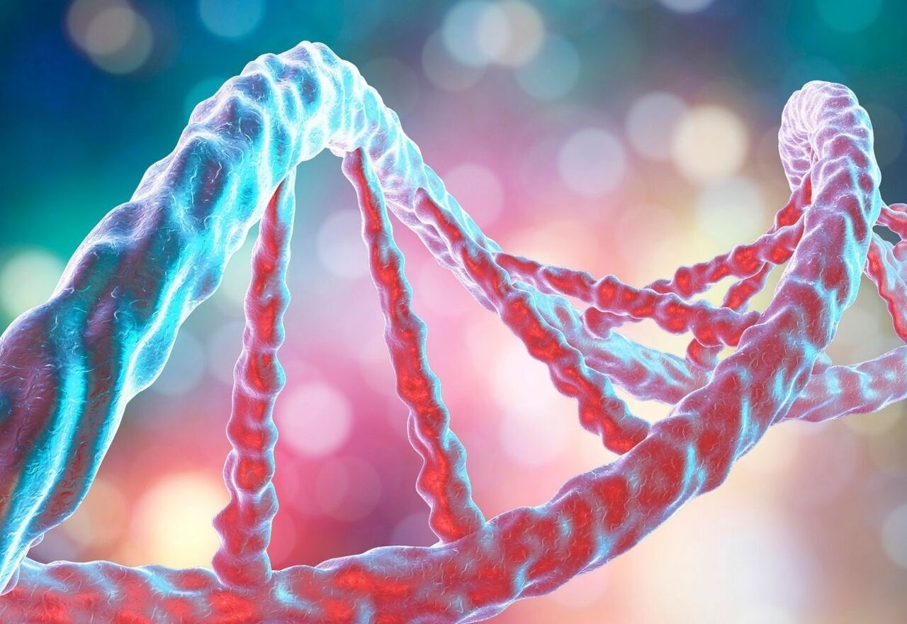 El ADN: ¿Qué es y por qué es importante?