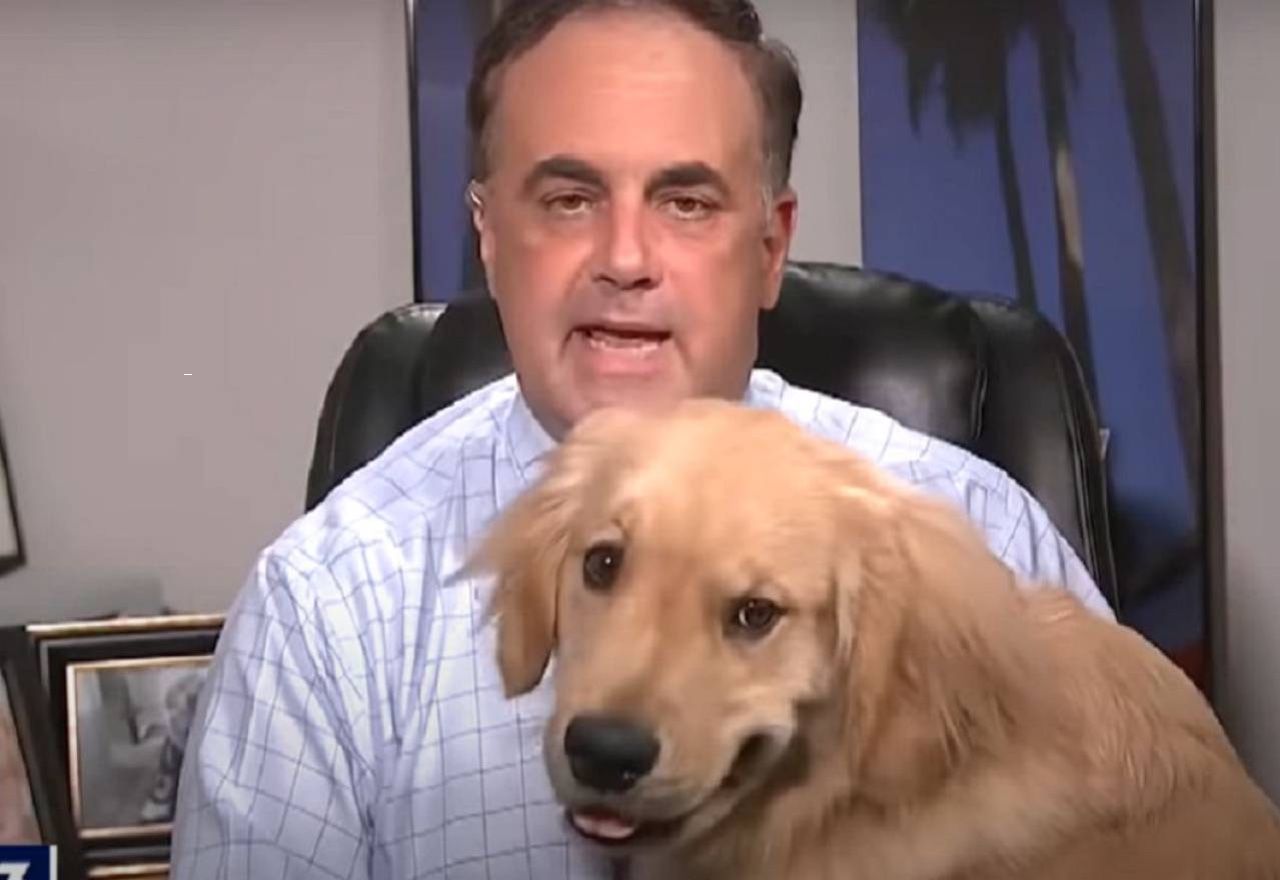 Vídeo Viral: Morirás de la risa al ver las espontáneas apariciones de estos perros en la televisión