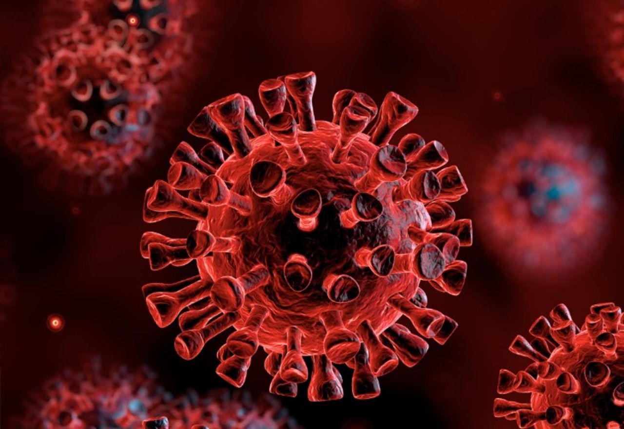 ¿Cuál es la diferencia entre un virus y una bacteria?