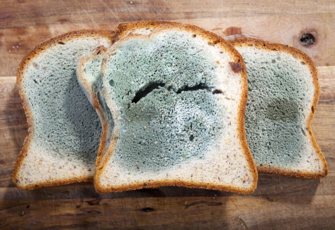 ¿Qué ocurre si se come pan con moho?