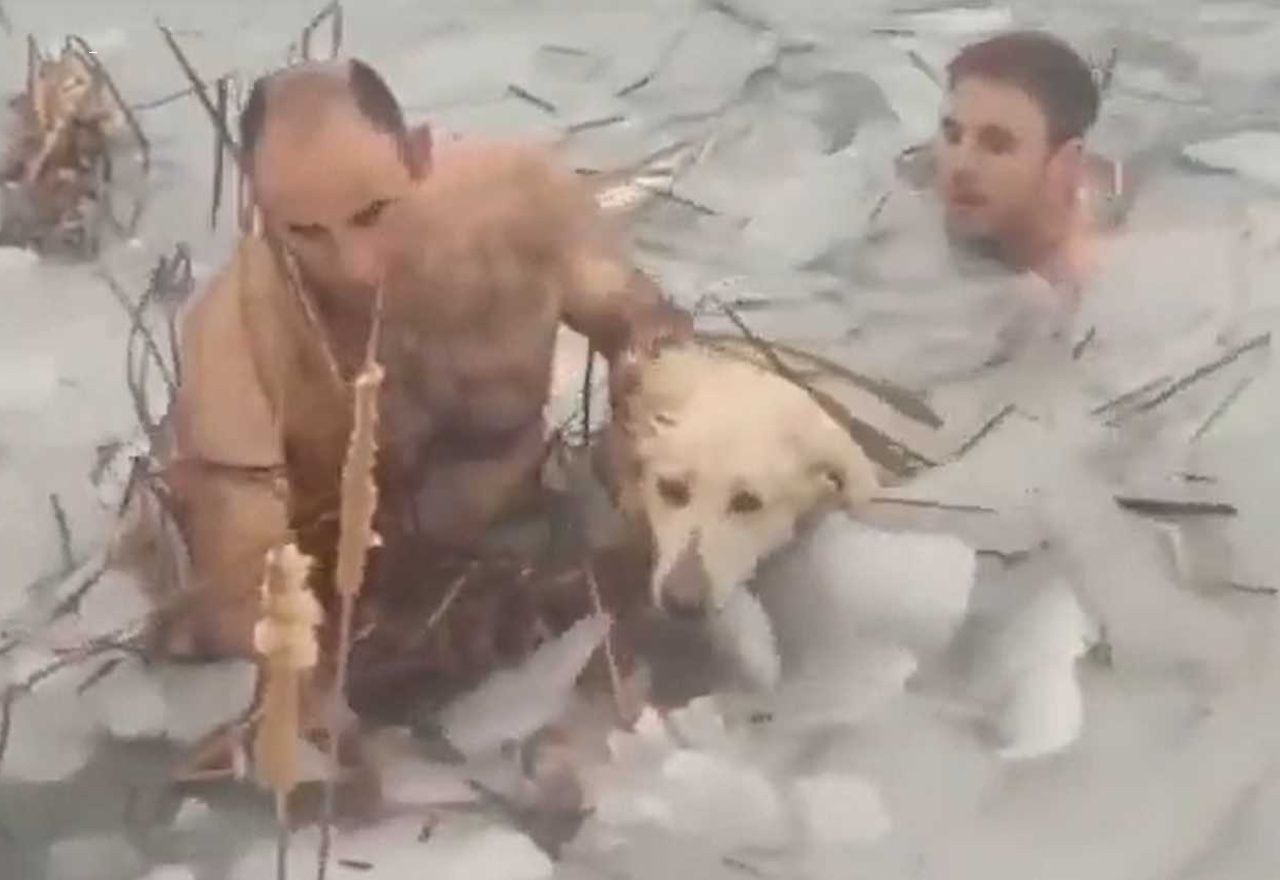 ¡¡¡Increíble!!!: Rescatan a un perro atrapado en mitad de un lago helado