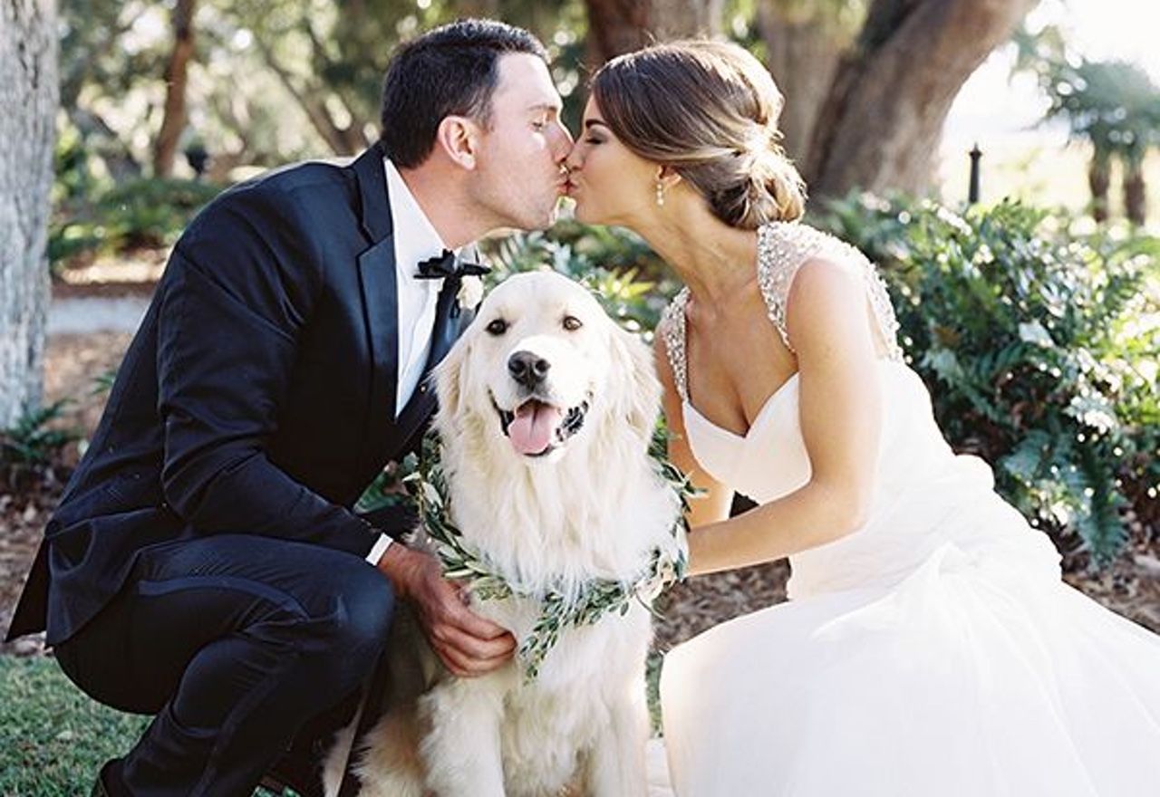 Vídeo: Morirás de amor al ver la labor que realiza este perro en la boda de sus dueños