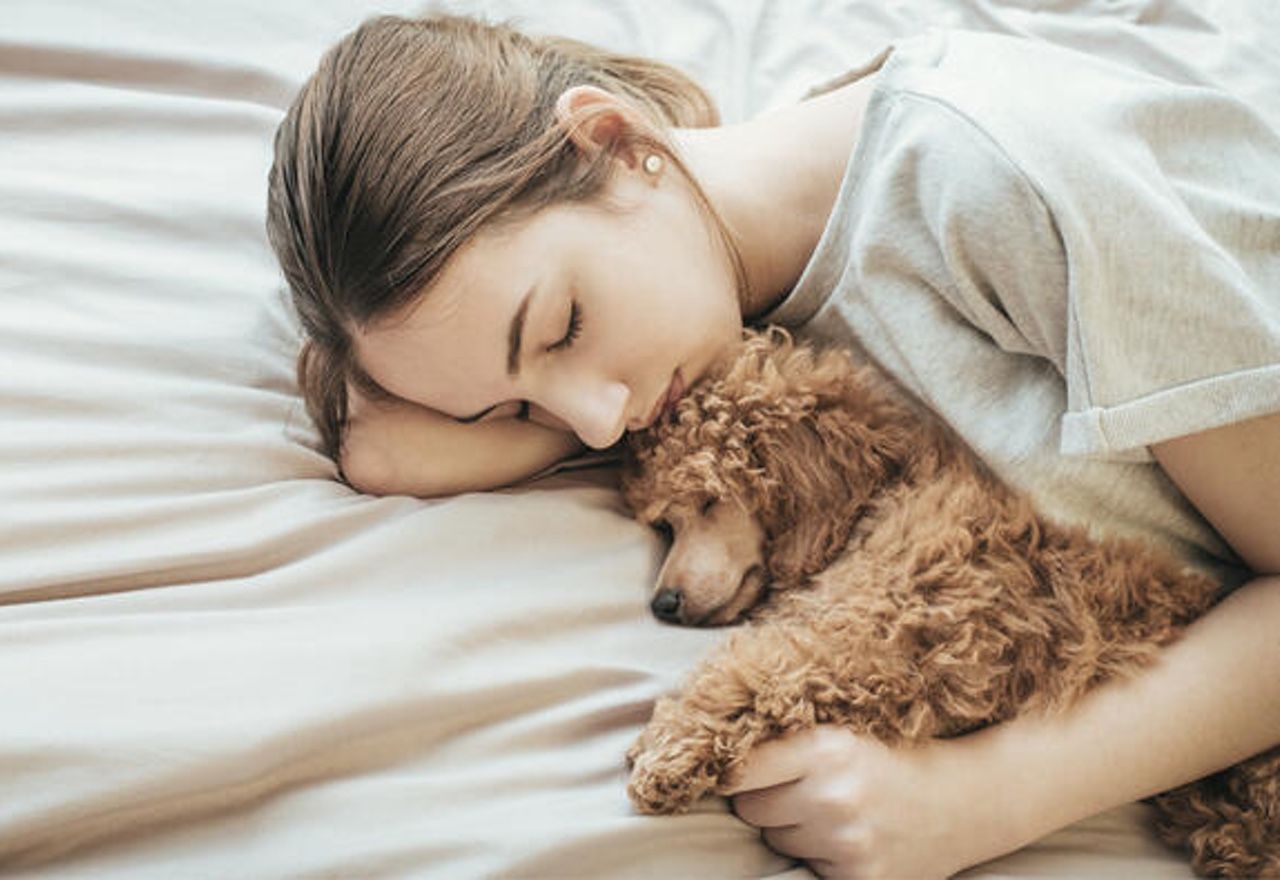 Estas son las consecuencias que puedes sufrir al dormir en la cama con tu mascota