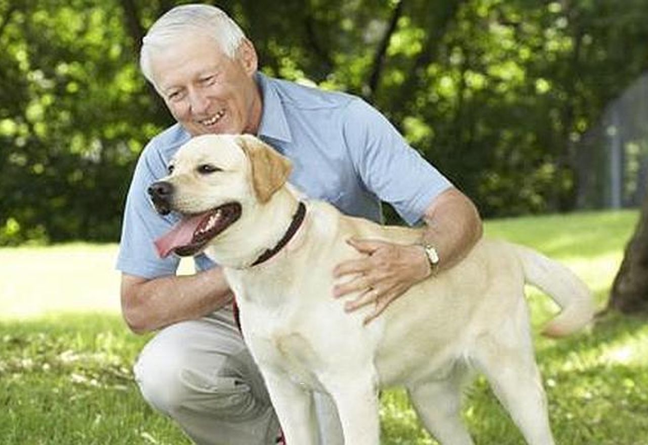 ¡¡¡Emocionante!!!: Descubre la bonita relación que tiene este perro con un anciano
