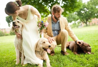 Vídeo: Conoce el baile de boda perfecto de esta pareja junto a su mascota