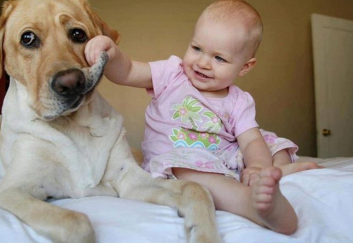 Los bebés y los perros son los mejores seres vivos del planeta