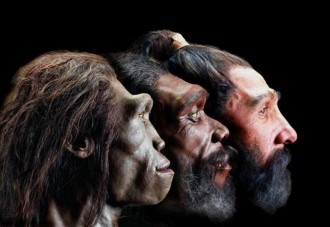 ¿Es cierto que la violencia cambió la cara de los hombres prehistóricos?