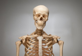 ¿Morimos con la misma cantidad de huesos que cuando nacemos?